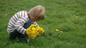 2025 Norway Pinterest annonsering prislista full kategori