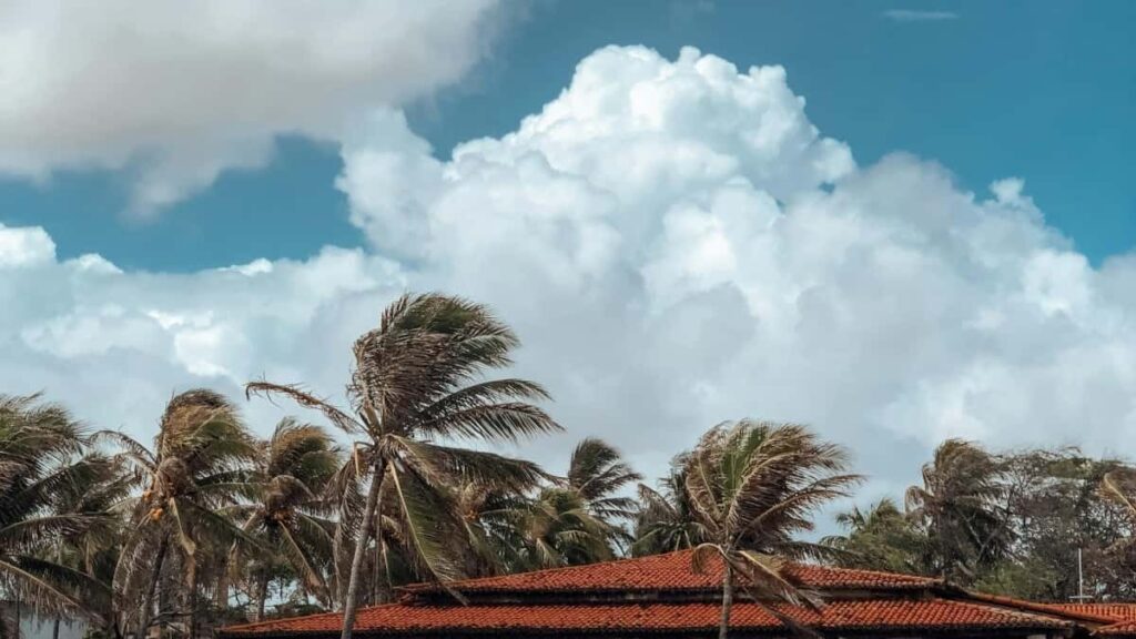 Upptäck hur kreatörer i Sri Lanka använder OnlyFans och varumärkessponsrade livestreams för att växa och tjäna pengar.