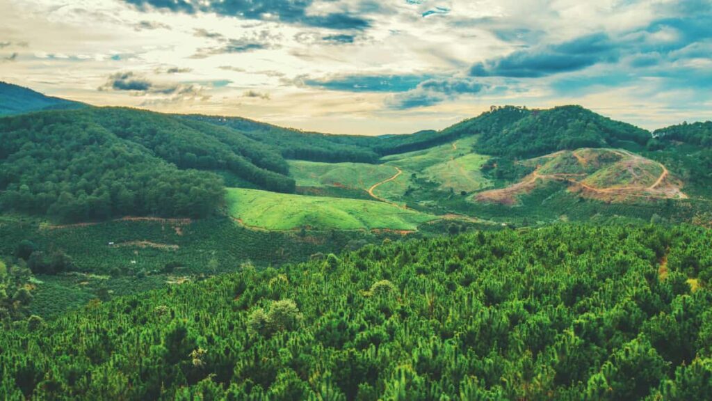 Praktisk guide for svenska kreatorer: hur du kontaktar belgiska varumarken via Xiaohongshu, bygger trovardighet i ditt media kit och okar chansen till samarbeten under 2025.