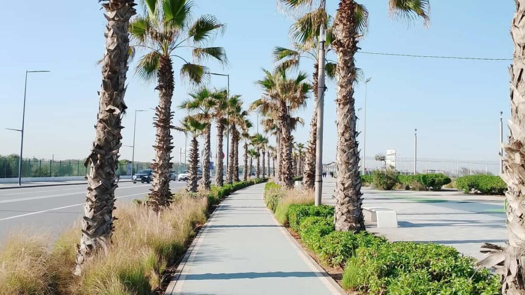 Praktisk guide for svenska creators som vill na cypriotiska varumarken via Facebook och driva konverteringar med kraftfulla CTA:s.