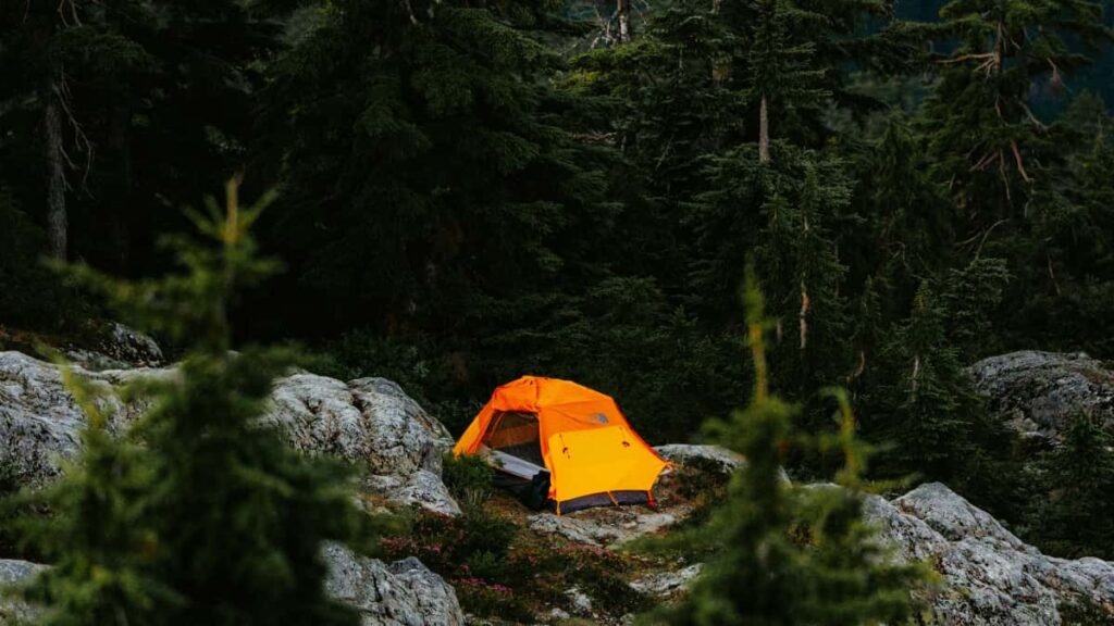 Praktisk guide for svenska kreatorer: hur du nar Singapore-baserade varumarken pa Xiaohongshu och driver riktiga konverteringar med kraftfulla CTA.