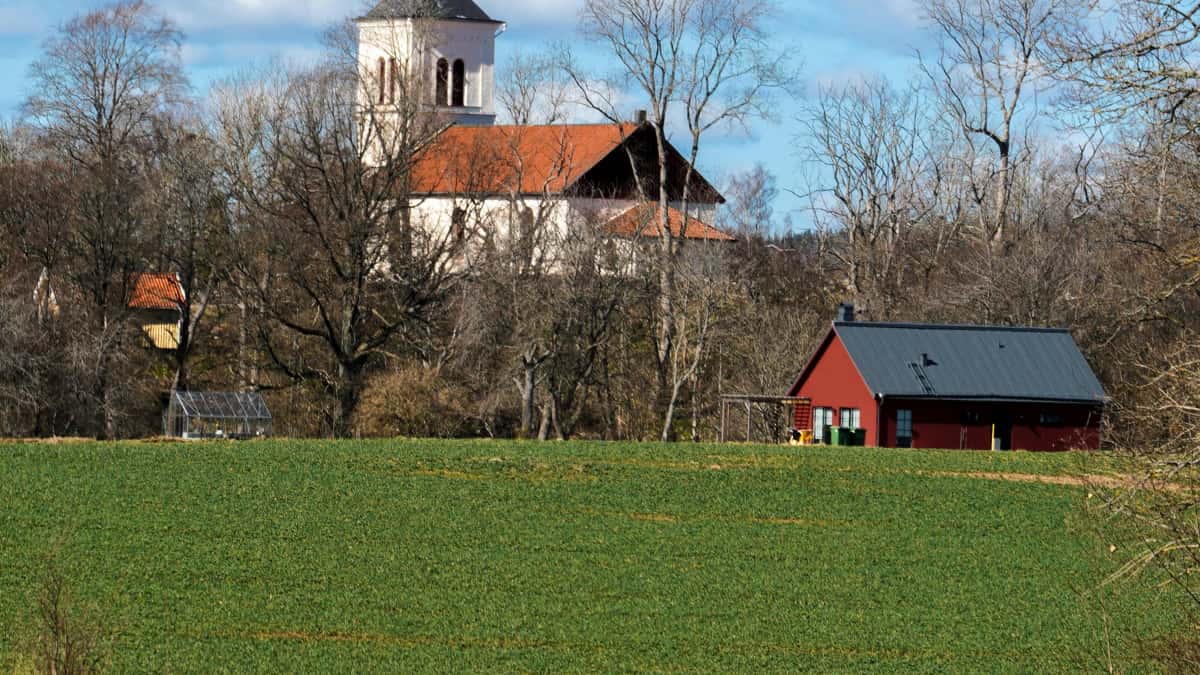Svenska annonsörer: Hitta Ecuador Pinterest‑skapare för reactions till album