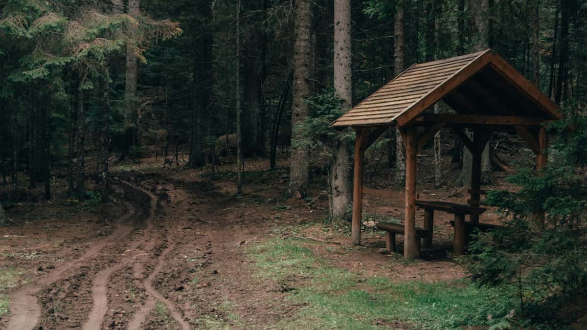 Marknadsförare: hitta ungerska HBO Max‑creators för flash‑sales