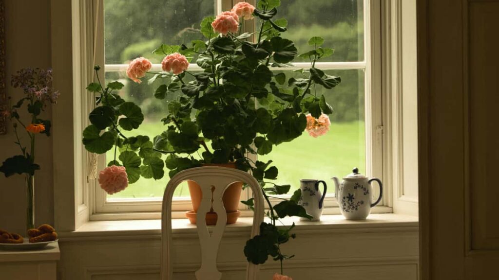 Praktisk guide for svenska marknadsforare som vill hitta TikTokkreatorer i Bolivia for att rekrytera nischade anvandare till SaaStrial. Stegforsteg, verktyg och riskhantering.