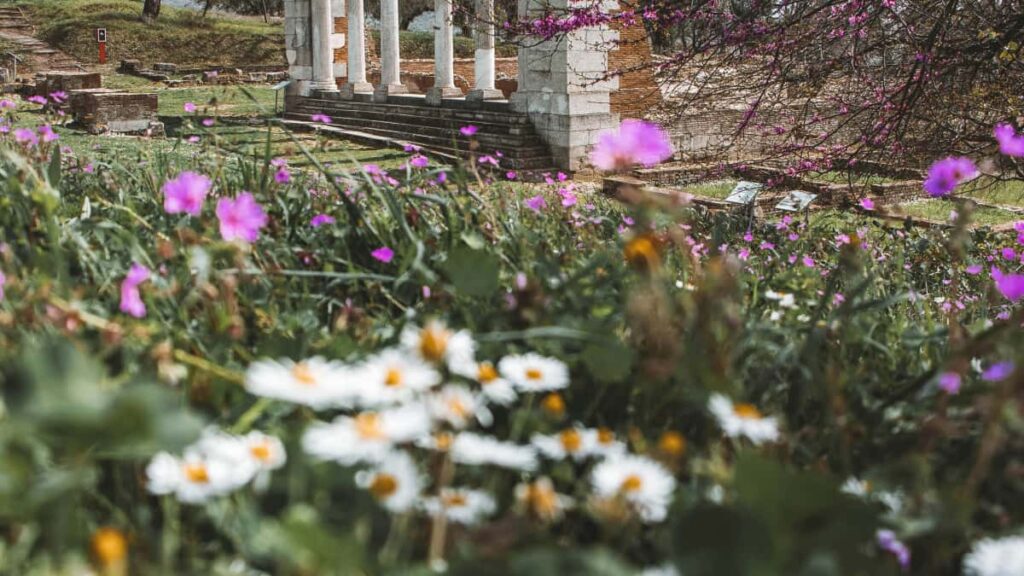 Praktisk guide for svenska kreatorer: hur du hittar och pitchar bulgariska varumarken pa Hulu for att na nya publiksegment. Tips, kanalval, timing och konkreta outreach-mallar.