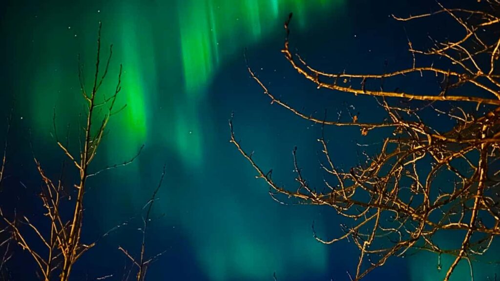 Praktisk guide for svenska annonsorer: hur du hittar brasilianska Disney Plusskapare och anvander UGC for att oka exponeringen av reseutrustning strategi, verktyg och actionable taktik.