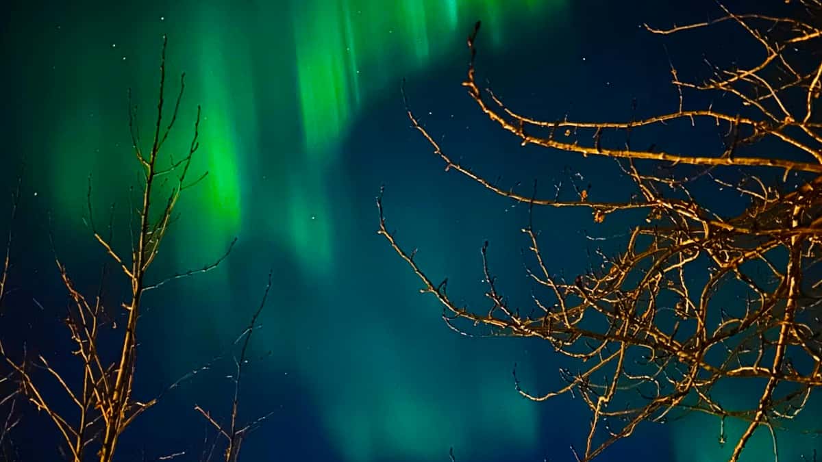 Svenska annonsörer: hitta Brazil Disney Plus‑skapare för UGC