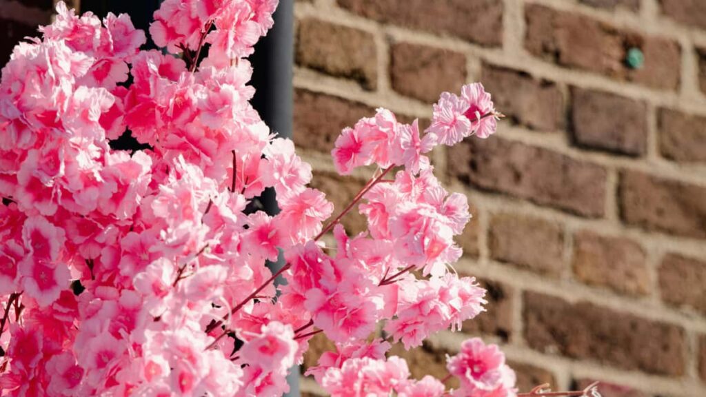 Praktisk guide for svenska annonsorer: hur du hittar och jobbar med colombianska Bilibiliskapare for produktseeding mot skonhetsbloggare. Tips, verktyg och riskhantering.