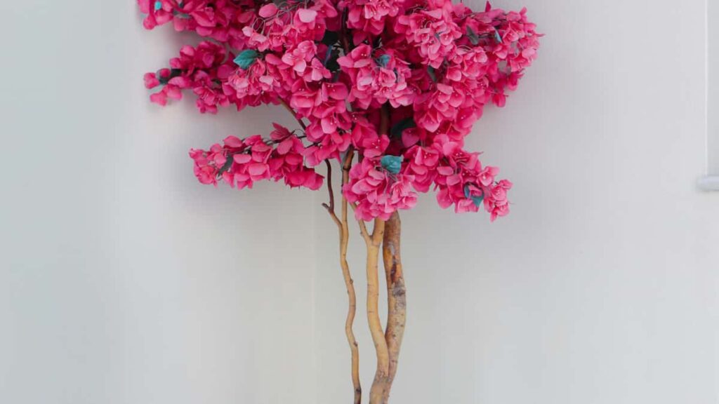 Praktisk guide for svenska annonsorer: hur du hittar och samarbetar med danska Spotifycreators for att skala produktexponering via creatormarketing.