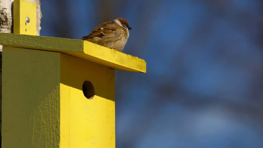 Praktisk guide for svenska annonsorer: hur du hittar och onboardar microinfluencers i Laos for Amazon-produkttester, med taktiker, plattformsguide och snabba checklistor.