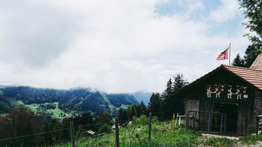 Praktisk guide for svenska creators: hur du hittar och pitchar ecuadorianska varumarken via Zalo for livestreamade sponsrade gaming-events.