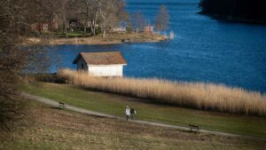 Praktisk guide for svenska annonssaljare: hur du hittar och aktiverar LebanonMojskapare for att oka synligheten for clean beautyvarumarken.