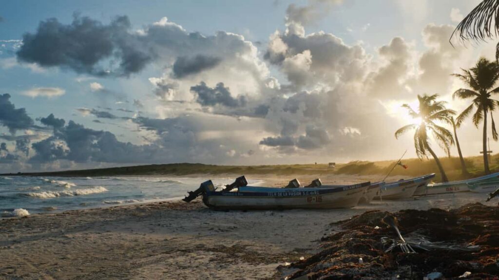 Praktisk guide for svenska annonsorer: hur du hittar Amazonskapare i Puerto Rico for cobranded produktlanseringar, med taktiker, verktyg och lokala insikter.