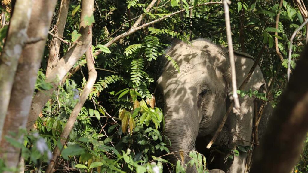 Praktisk guide for svenska creators: hur du identifierar, kontaktar och samarbetar med iranska varumarken pa Apple Music for produktivitetsguider taktiker, verktyg och riskbedomning.