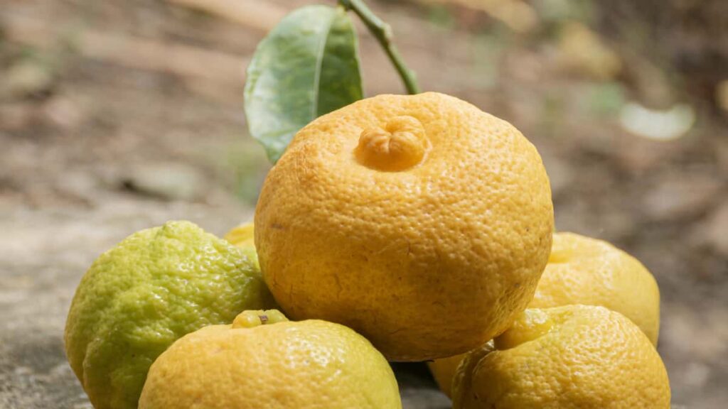 Praktisk guide for svenska annonsorer som vill samarbeta med brasilianska Xiaohongshuskapare infor sasongsforsaljning. Steg, verktyg och riskhantering.