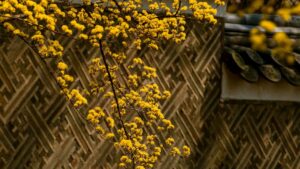 Praktisk guide for svenska micro- och nano-creators: hur du hittar, pitchar och landar seedingprogram med islandska varumarken via KakaoTalk konkret taktik och exempel.