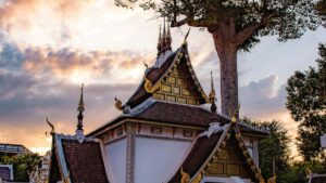 Praktisk guide for svenska annonsorer: hur du hittar och samarbetar med ukrainska WhatsAppcreatorer for produktledd tillvaxt via creator content.